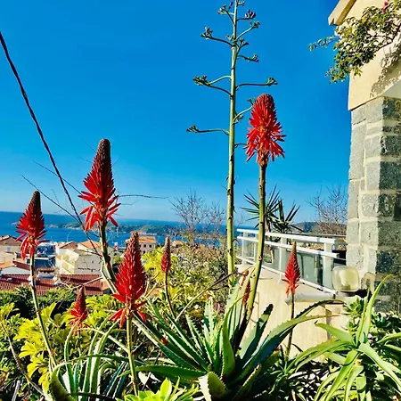 Villa Montalbo Vue Avec Grande Terrasse & A Proximite - Ideale Famille Et Groupe De 2 A 10 Personnes *