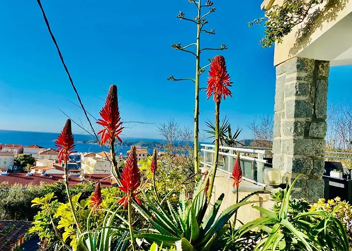 Vila Montalbo Vue Avec Grande Terrasse & A Proximite - Ideale Famille Et Groupe De 2 A 10 Personnes *